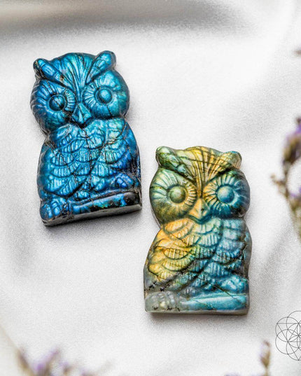 Token of Wisdom - Labradorite Owl Talisman