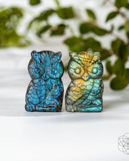 Token of Wisdom - Labradorite Owl Talisman