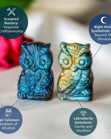 Token of Wisdom - Labradorite Owl Talisman