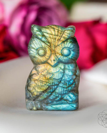 Token of Wisdom - Labradorite Owl Talisman