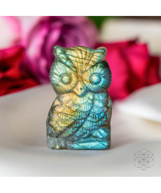 Token of Wisdom - Labradorite Owl Talisman