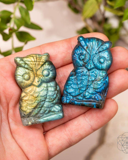 Token of Wisdom - Labradorite Owl Talisman