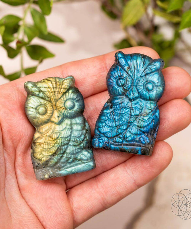 Token of Wisdom - Labradorite Owl Talisman