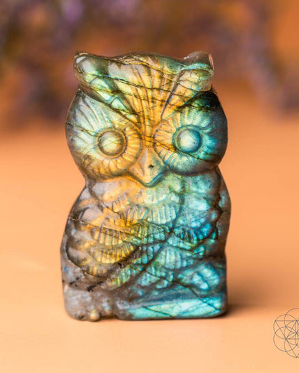 Token of Wisdom - Labradorite Owl Talisman