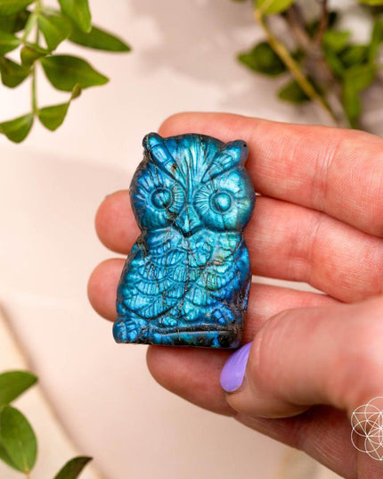 Token of Wisdom - Labradorite Owl Talisman
