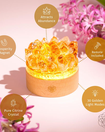 Turn My Life to Gold - Midas Citrine Lamp