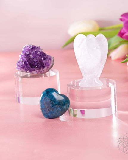 Ultimate Car Protection Trinity