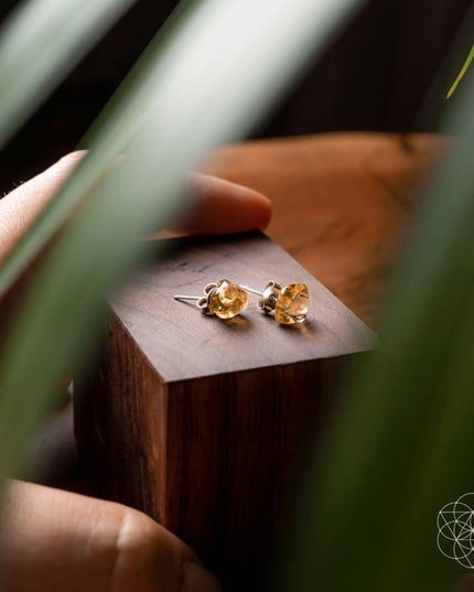 Wealth and Abundance Earring Set